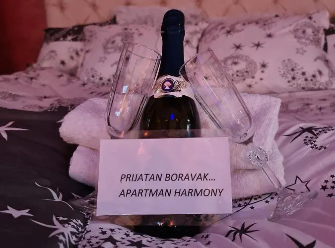 Apartament -harmony- *